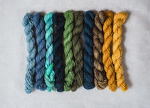 Load image into Gallery viewer, Cashmere Coloring Box