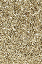 Load image into Gallery viewer, Lang Astra