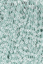 Load image into Gallery viewer, Lang Paillettes