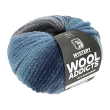 Load image into Gallery viewer, Wool Addicts Mystery