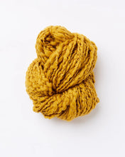 Load image into Gallery viewer, Rhinebeck Cardigan Kit