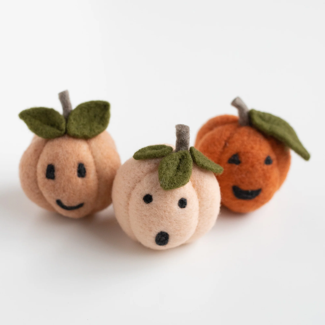 Pumpkin Friends Kit