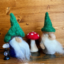 Load image into Gallery viewer, Needle Felt Garden Gnome Class
