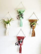 Load image into Gallery viewer, Macrame Plant Hanger with Mountain Fiber Designs
