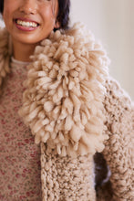 Load image into Gallery viewer, Rhinebeck Cardigan Kit