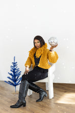 Load image into Gallery viewer, Rhinebeck Cardigan Kit