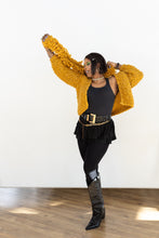 Load image into Gallery viewer, Rhinebeck Cardigan Kit