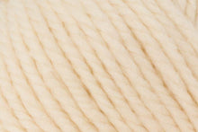 Load image into Gallery viewer, Big Wool