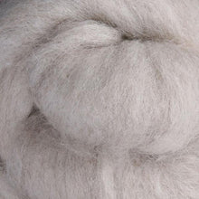 Load image into Gallery viewer, Corriedale - Ashford Sliver