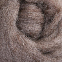 Load image into Gallery viewer, Corriedale - Ashford Sliver