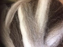 Load image into Gallery viewer, Corriedale - Ashford Sliver