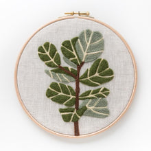Load image into Gallery viewer, Fiddle Leaf Fig Kit