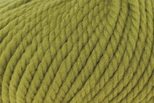 Load image into Gallery viewer, Big Wool