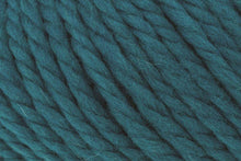 Load image into Gallery viewer, Big Wool