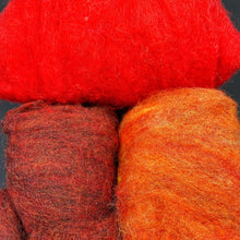 Load image into Gallery viewer, Dragon Kit