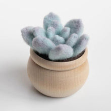 Load image into Gallery viewer, Mini Succulent Kit