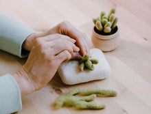 Load image into Gallery viewer, Mini Succulent Kit