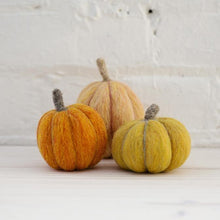 Load image into Gallery viewer, Pumpkin Kit