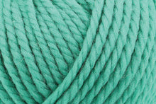 Load image into Gallery viewer, Big Wool
