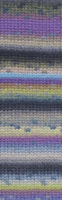 Load image into Gallery viewer, Wool Addicts Mystery
