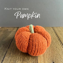 Load image into Gallery viewer, Pumpkin Knit Kit
