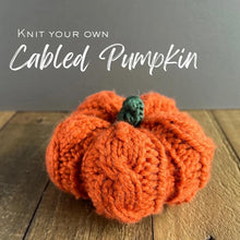 Load image into Gallery viewer, Pumpkin Knit Kit

