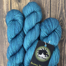 Load image into Gallery viewer, Silkpaca Worsted
