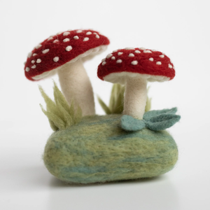 Forest Toadstools Kit