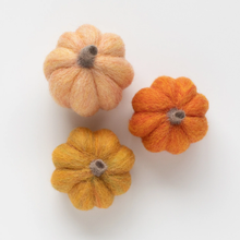 Load image into Gallery viewer, Pumpkin Trio Kit
