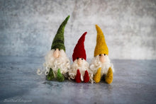 Load image into Gallery viewer, Gnome Needle Felt Kit
