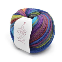 Load image into Gallery viewer, Color Wool
