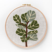 Load image into Gallery viewer, Fiddle Leaf Fig Kit
