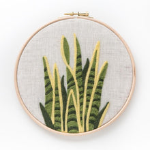 Load image into Gallery viewer, Snake Plant Kit
