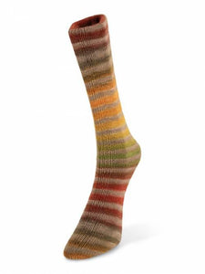 Laines du Nord Paint Sock