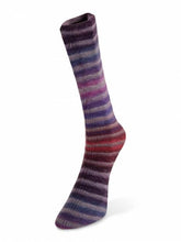 Load image into Gallery viewer, Laines du Nord Paint Sock
