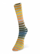 Load image into Gallery viewer, Laines du Nord Paint Sock
