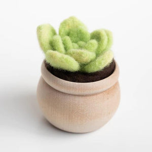 Mini Succulent Kit