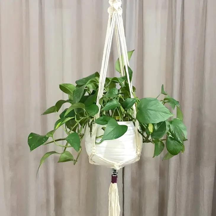 macrame plant hanger pothos Plant Hanger Macrame