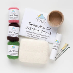 Mini Succulent Kit